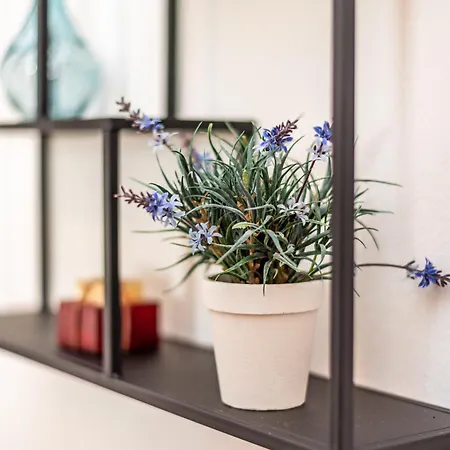 Biserka 2 With Stunning Sea View *